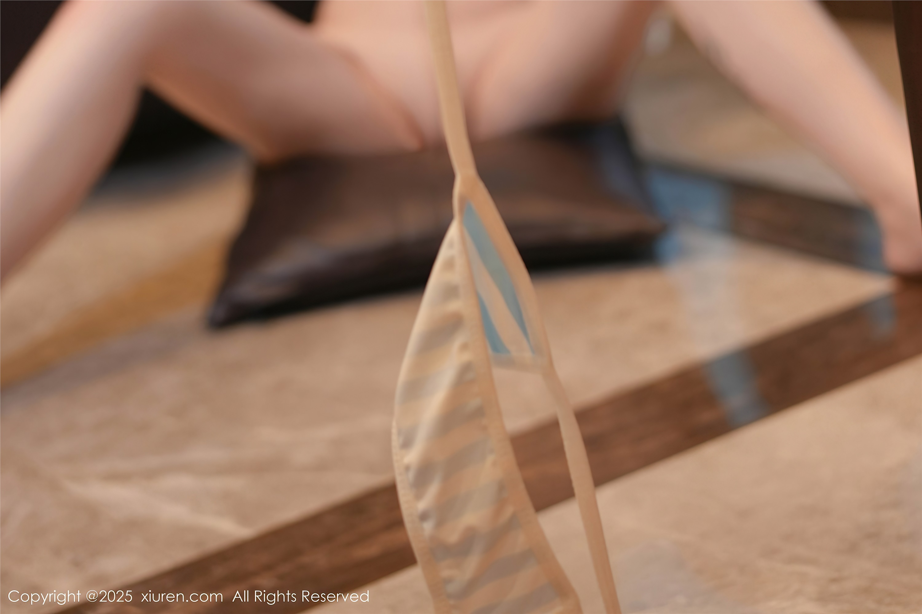 Xiuren秀人网 2025.05.30 NO.10348 妲己_Toxic